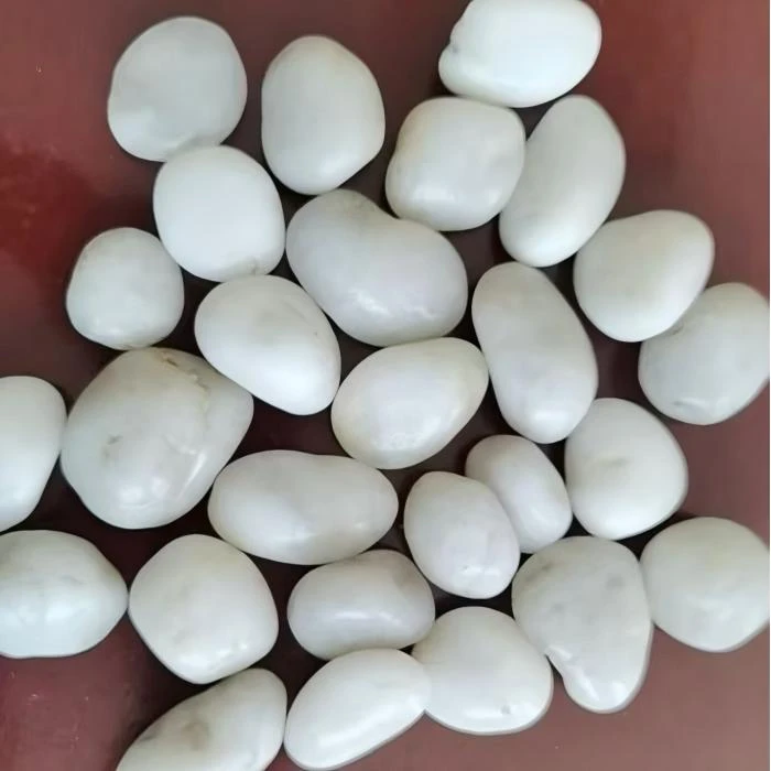 Premium White Garden Pebbles price
