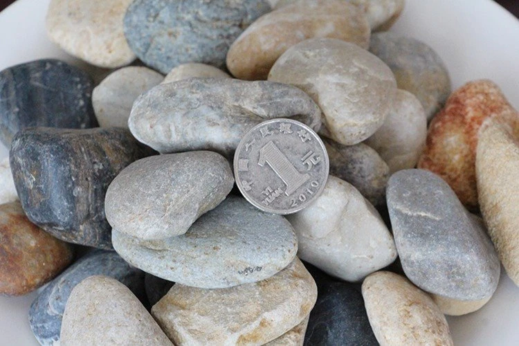 Garden Pebble Stones Near Me high quality